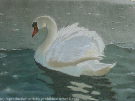The Swan