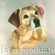 Labrador | (sold) | | Pastel Labrador