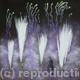 Fireworks 2 | | | Pastel on board Fireworks 2