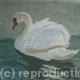 The Swan | | | Pastel The Swan