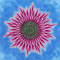 Dahlia