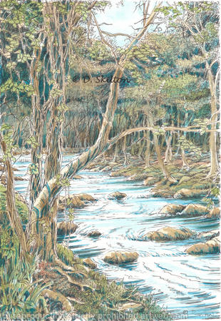 The River at nant Col Nr. Harlech N. Wales