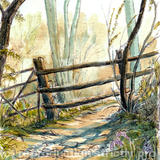 Bluebells and Morning Sun - Print on white hammered finish greeting card