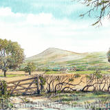 Clee Hill from the road to Craven Arms - Print on watercolour paper from pen, pencil & watercolour