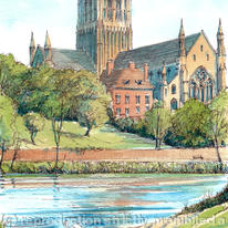 Worcester Cathedral with the River Severn,  Swans, greeting card