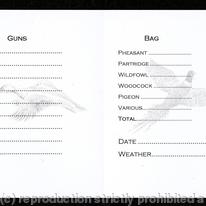 Shoot card inside, 9 guns light duck and pheasant watermarks, date and weather