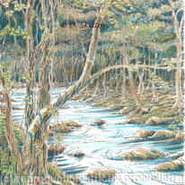 The River at nant Col Nr. Harlech N. Wales