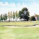 example of a golf painting