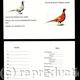 Buy now pack of 20 shoot…