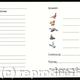 Inside shoot card with…