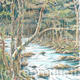 The River at nant Col…