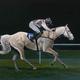 Racehorse