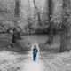 Child in the Woods 2