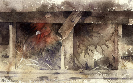 K.28  roosting
