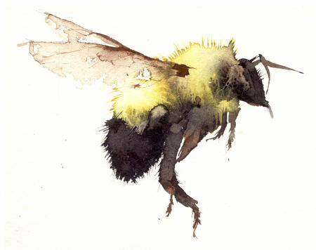 bumble KO11