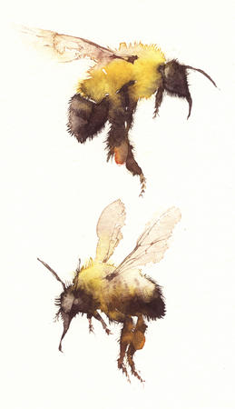 bumble bees KO3