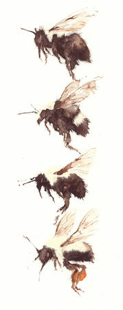 four bumble bees KO8
