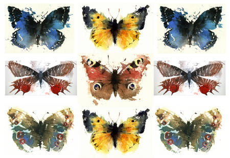 KO.43 butterfly case