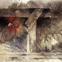 K.28  roosting