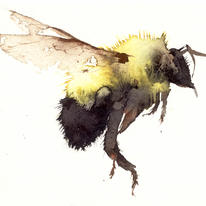 bumble KO11