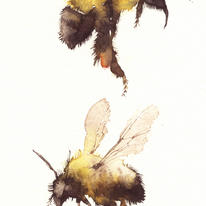 bumble bees KO3