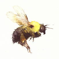bumble bee KO6