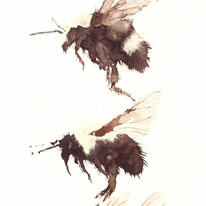 four bumble bees KO8