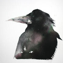 rook