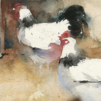 KO.77 sussex barnyard