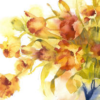 KO.98 french parrot tulips