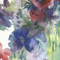 KO.99 gunns anemones