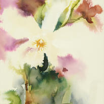 KO.91 ghost orchid