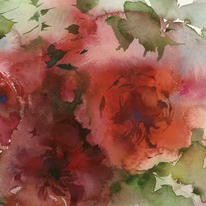  KO.89 sherbert roses