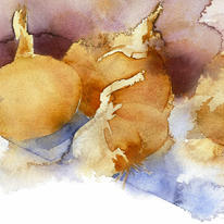 KO.94 spanish onions