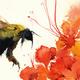 beewithflowers