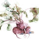 KO.95 beetroot | £68 | 40 x 30cm | giclee print from original watercolour KO.95 beetroot