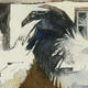 KO.53 barnyard napoleon | £78 | 35 x 16cm | giclee print from original watercolour KO.53 barnyard napoleon