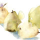 KO.93 pears