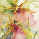 KO.90 leopard orchids