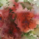 KO.89 sherbert roses…