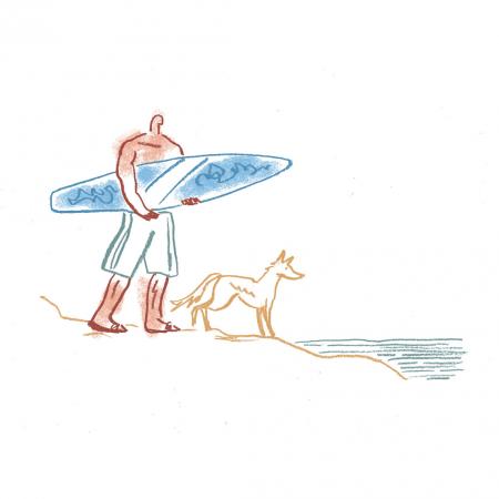 los angeles surfing
