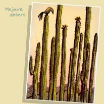 Mojave desert