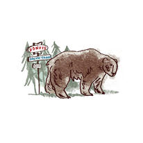 hidden bear