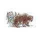 bear