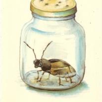 Caught a bug? Get well soon!