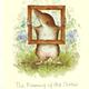 The Framing Of The Shrew