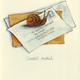 Snail Mail