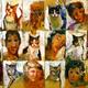 cat people | | 150 x 220cm | mixed media cat people