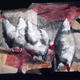 chickens | (sold) | 100 x 140cm | chickens