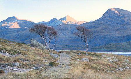Evening Light